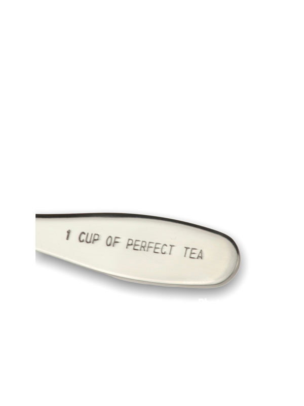 Thee maatschep lepel - 1 cup of perfect tea