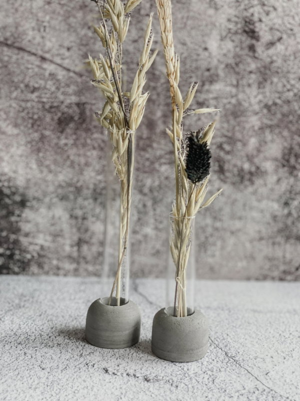 Betonnen vaasjes met reageerbuis & droogbloemen