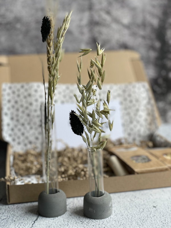 Betonnen vaasjes met reageerbuis & droogbloemen