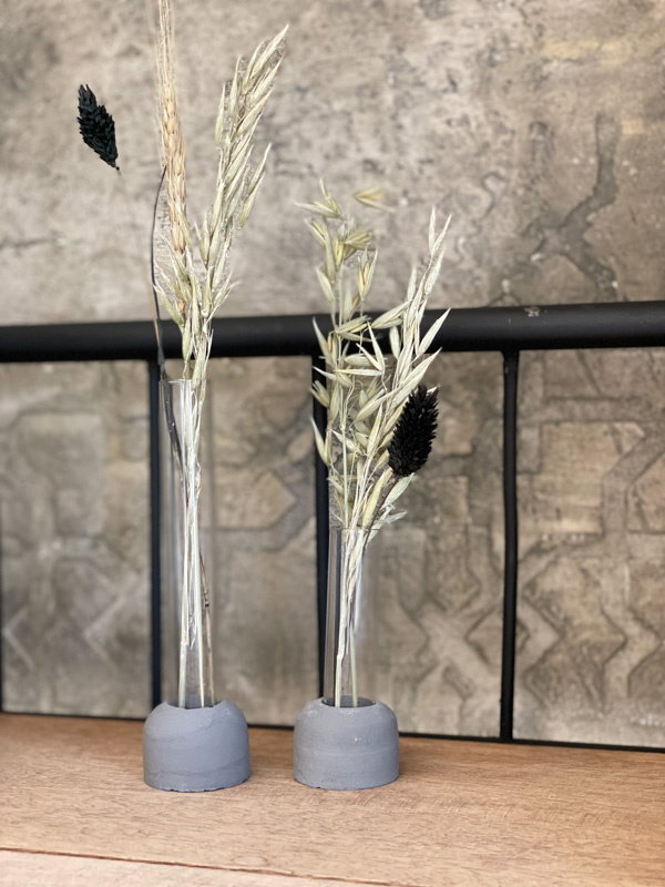 Betonnen vaasjes met reageerbuis & droogbloemen