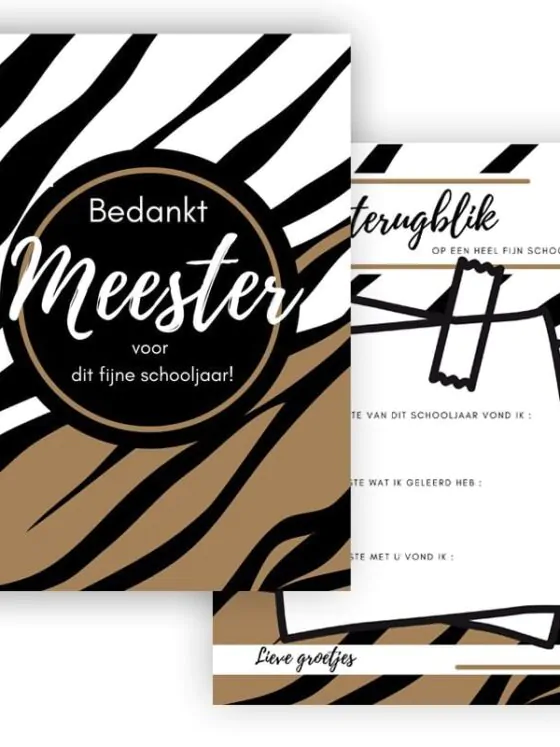 Ansichtkaart - Bedankt lieve meester voor dit fijne schooljaar!