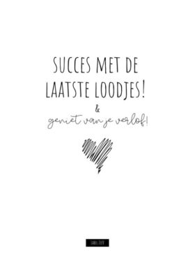 e384ab714461648103d4879fba173be69d9adec6 Ansichtkaart - Succes met de laatste loodjes! Geniet van je verlof