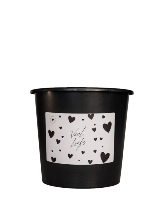 Veel liefs cadeau emmer klein Cadeau emmer leeg - 3 Liter - Veel Liefs