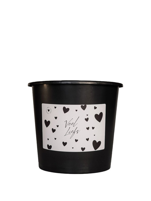 Veel liefs cadeau emmer klein Cadeau emmer leeg - 3 Liter - Veel Liefs