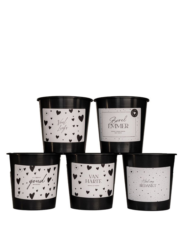 alle cadeau emmers groot Cadeau emmer leeg - 5 Liter - Borrel emmer