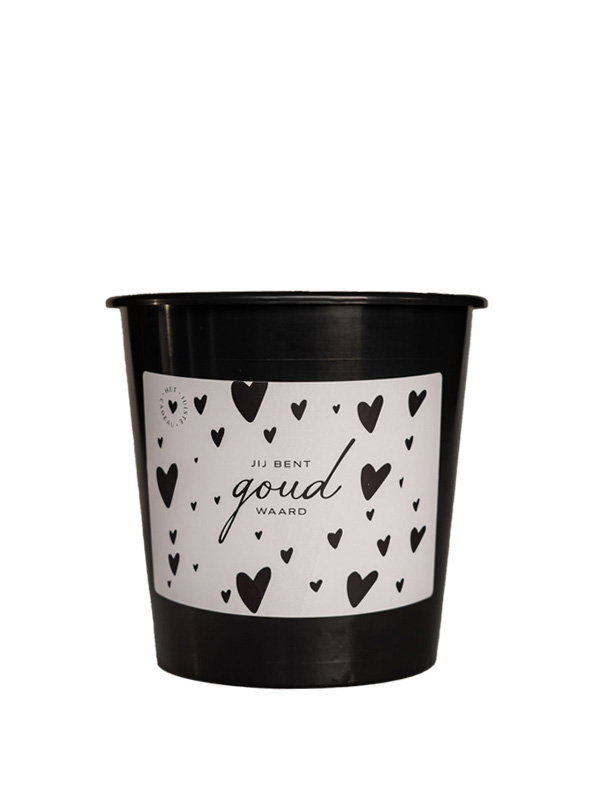 jij bent goud waard cadeau emmer groot Cadeau emmer leeg - 5 Liter - Jij bent goud waard