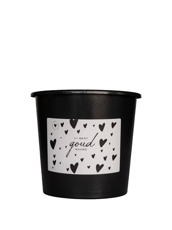 jij bent goud waard emmer klein Cadeau emmer leeg - 3 Liter - Jij bent goud waard