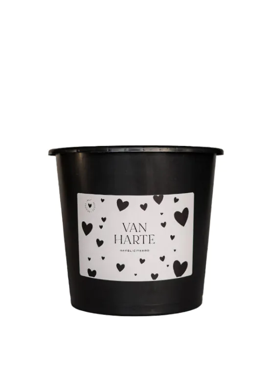 van harte gefeliciteerd cadeau emmer klein Cadeau emmer leeg - 3 Liter - Van harte gefeliciteerd