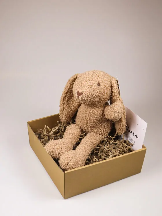 Kraampakket knuffelkonijn met kaart – Jongen, meisje of kleintje op komst