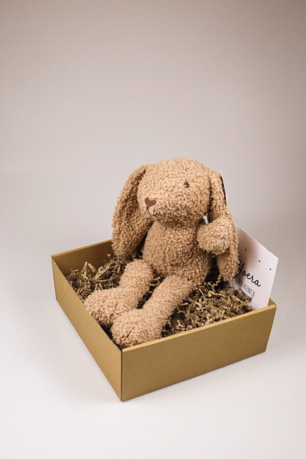 Kraampakket knuffelkonijn met kaart – Jongen, meisje of kleintje op komst