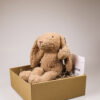 Kraampakket knuffelkonijn met kaart – Jongen, meisje of kleintje op komst