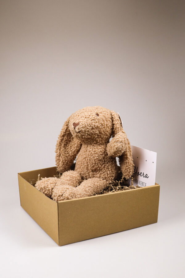Kraampakket knuffelkonijn met kaart – Jongen, meisje of kleintje op komst
