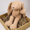Kraampakket knuffelkonijn met kaart – Jongen, meisje of kleintje op komst