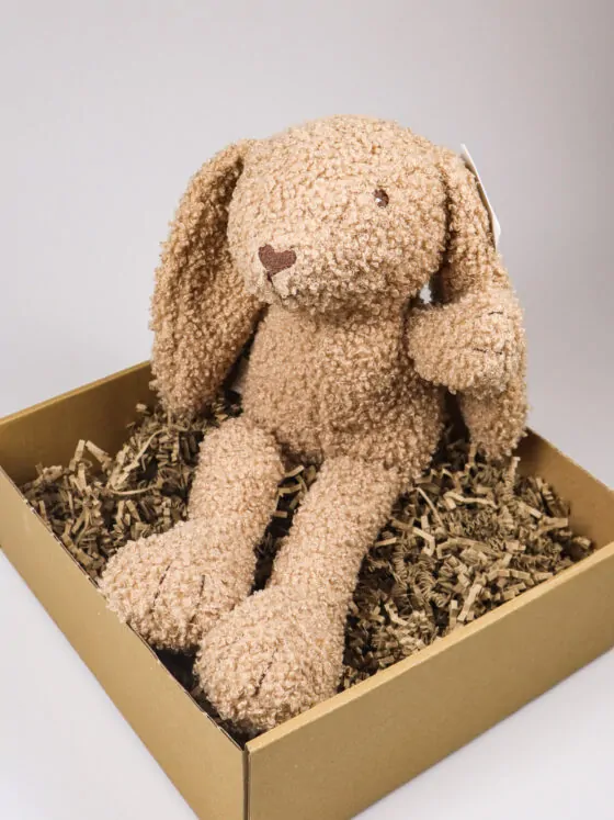 Kraampakket knuffelkonijn met kaart – Jongen, meisje of kleintje op komst