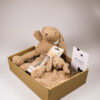 Kraampakket meisje met knuffel bunny, speendoekje en regenrammelaar