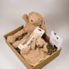 Kraampakket meisje met knuffel bunny, speendoekje en regenrammelaar