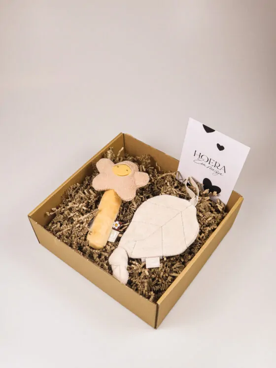 Kraampakket meisje met rammelaar en speendoekje – Hoera een meisje
