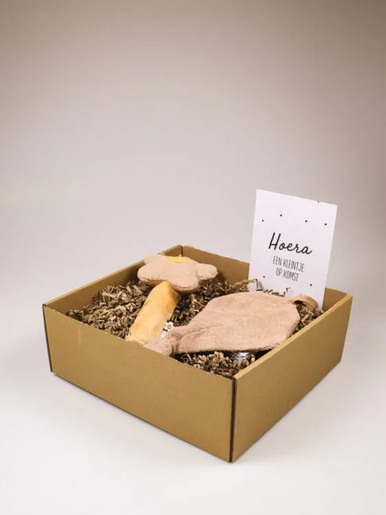 Kraampakket met rammelaar en speendoekje