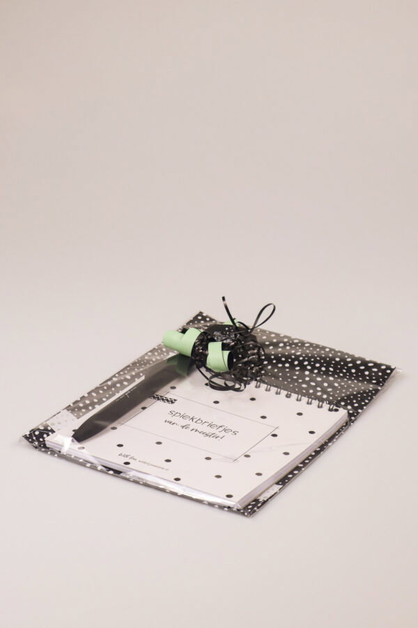 Meester cadeau notitieboek spiekbriefjes met pen en kaart