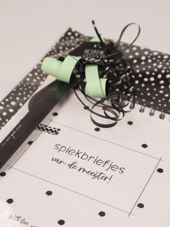 Meester cadeau notitieboek spiekbriefjes met pen en kaart