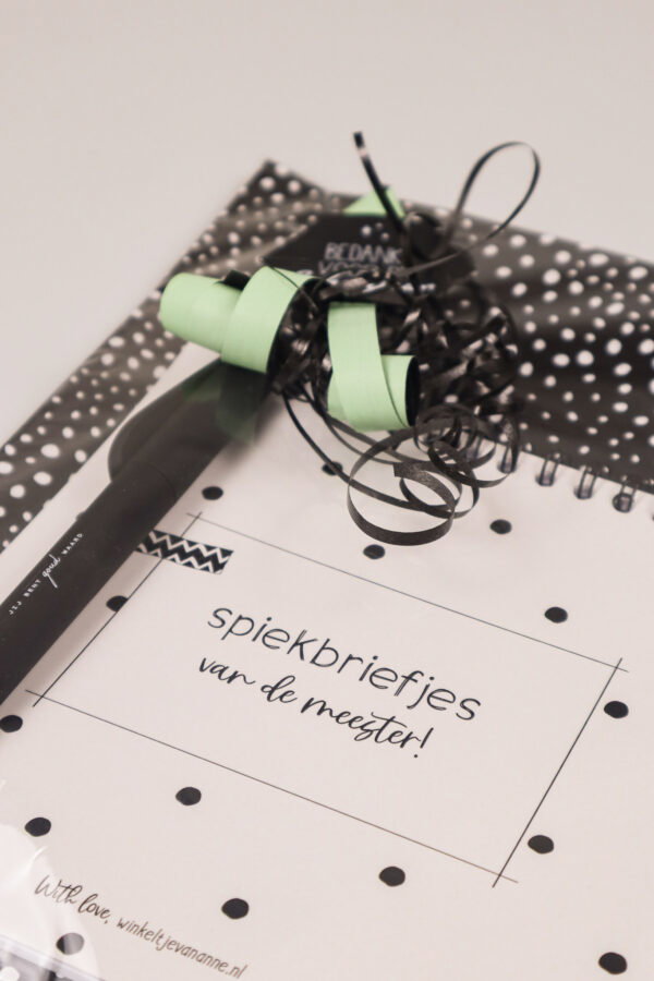 Meester cadeau notitieboek spiekbriefjes met pen en kaart