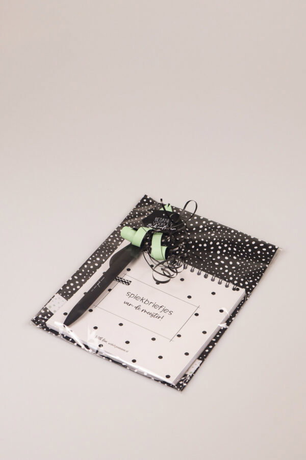 Meester cadeau notitieboek spiekbriefjes met pen en kaart