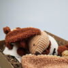 Baby cadeaupakket Diego hond – Jollein speendoekje & wagenhanger