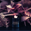 Sojakaars Ik wens je alle kracht – Warm Cashmere