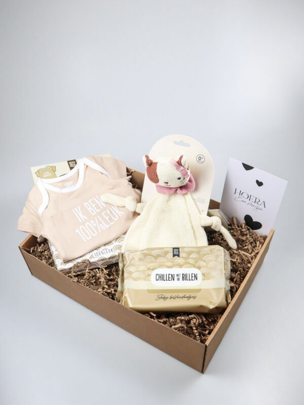 Cadeaupakket meisje met katje Jill, rompertje en billendoekjes