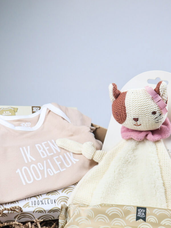 Cadeaupakket meisje met katje Jill, rompertje en billendoekjes