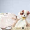 Cadeaupakket jongen met knuffel van Jollein, rompertje en billendoekjes