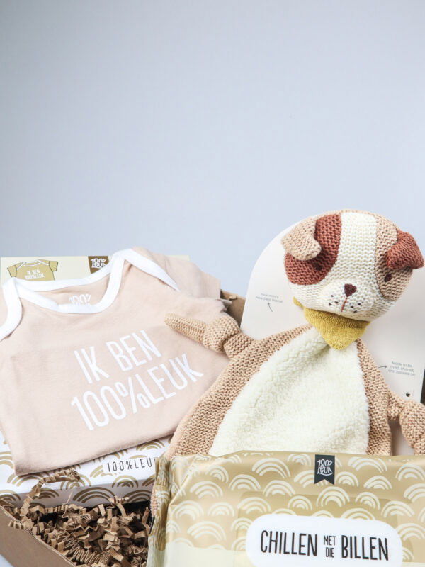 Cadeaupakket jongen met knuffel van Jollein, rompertje en billendoekjes