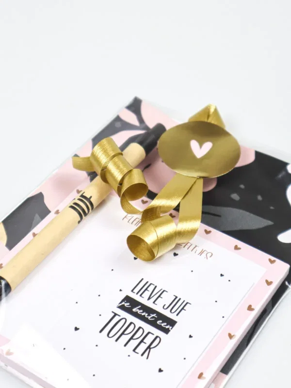 Juffen cadeautje met notitieblok en pen Juffen cadeautje met notitieblok en pen