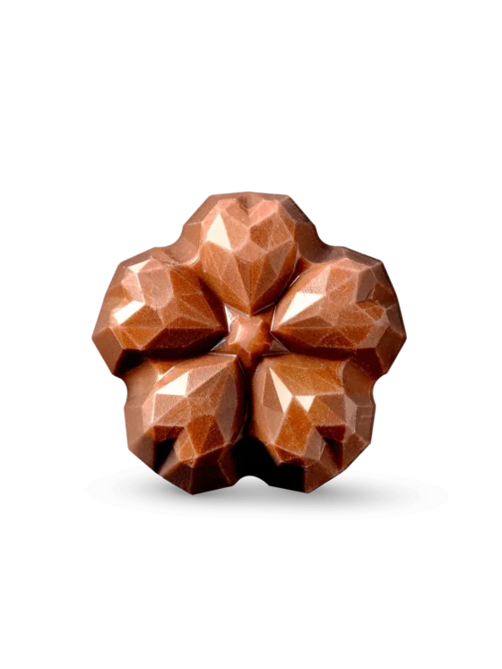 Coco & Sebas chocolade bloemetjes 5 stuks – Little Flowers