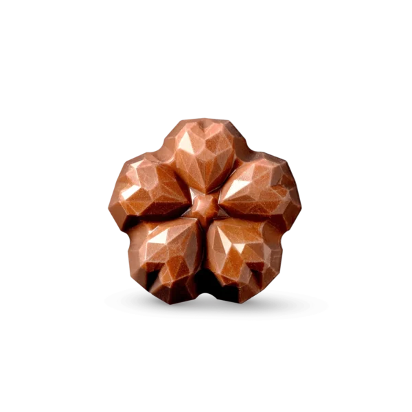 Coco & Sebas chocolade bloemetjes 5 stuks – Little Flowers