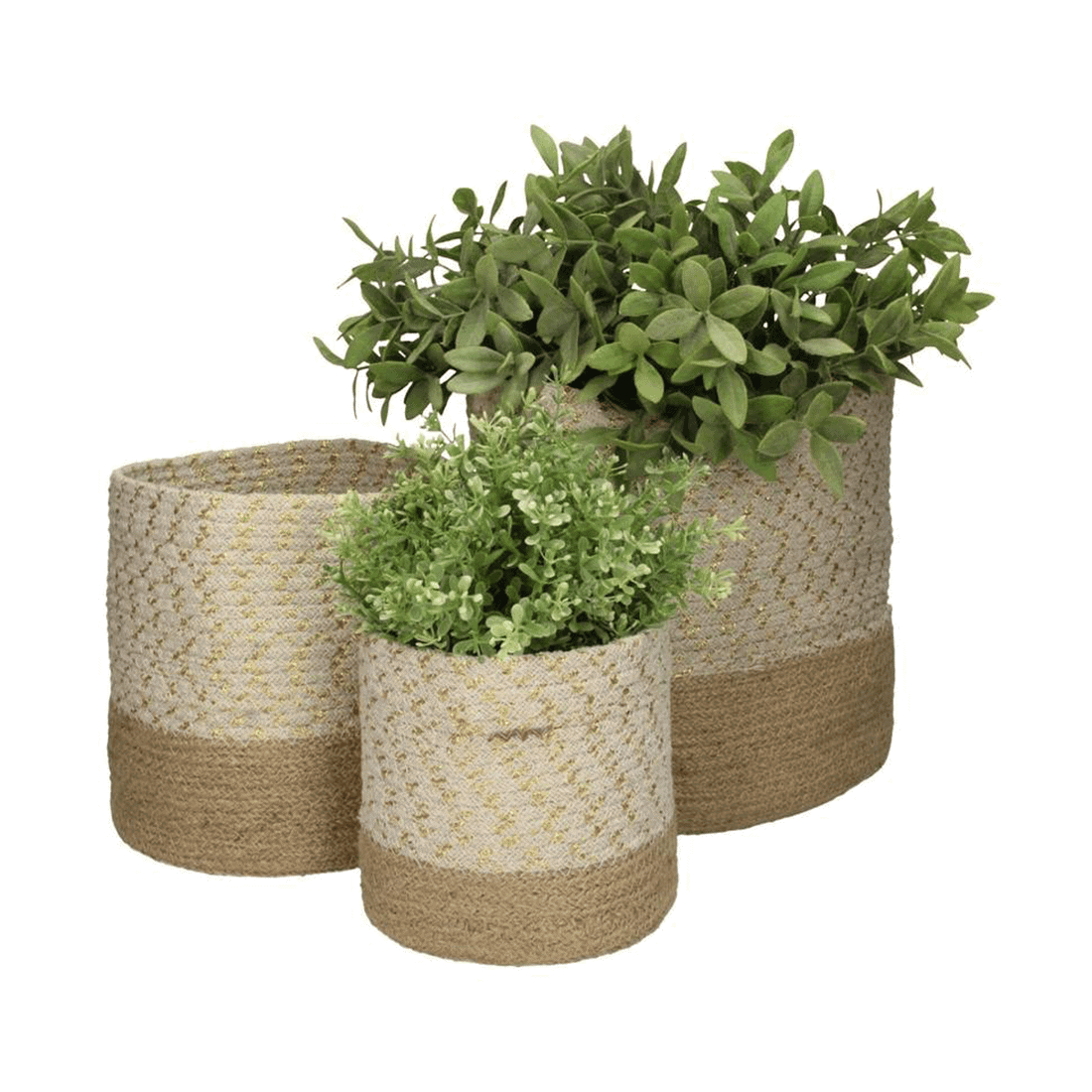 Kindercompagnie Mand cotton Ivory - Afbeelding 4