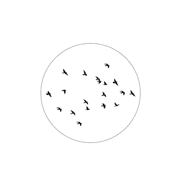 Label-R Muurcirkel birds - Wit 30cm