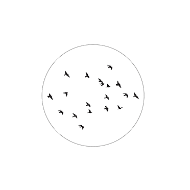 Label-R Muurcirkel birds - Wit 60cm