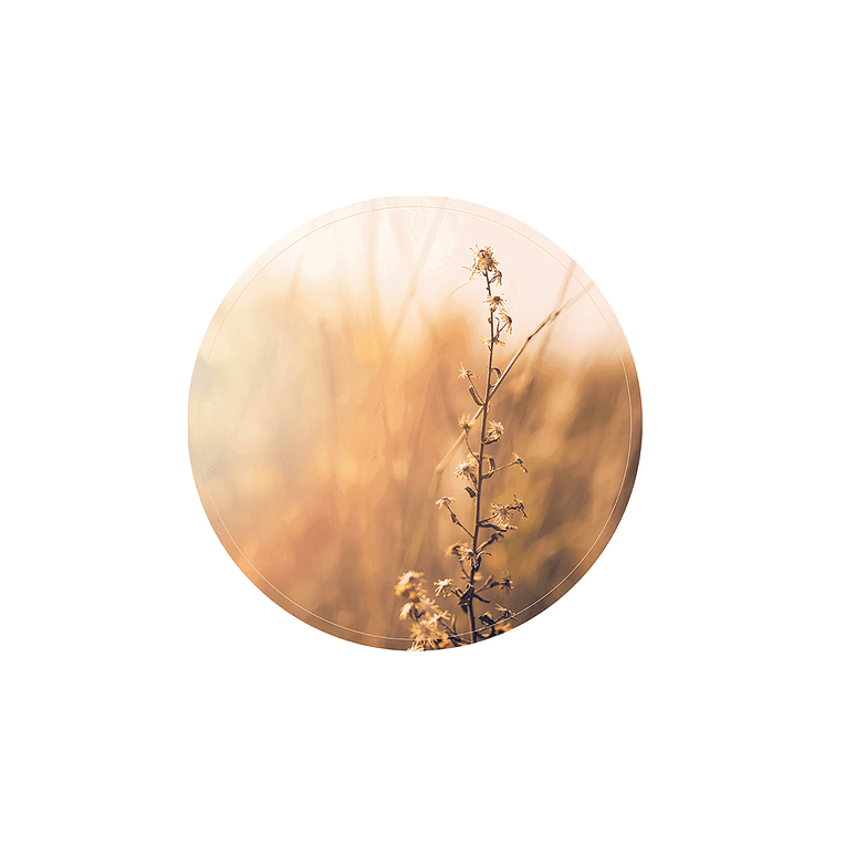 Label-R Muurcirkel nature