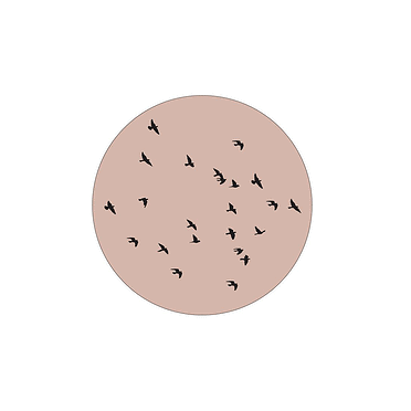 Label-R Muurcirkel birds - Roze 40cm
