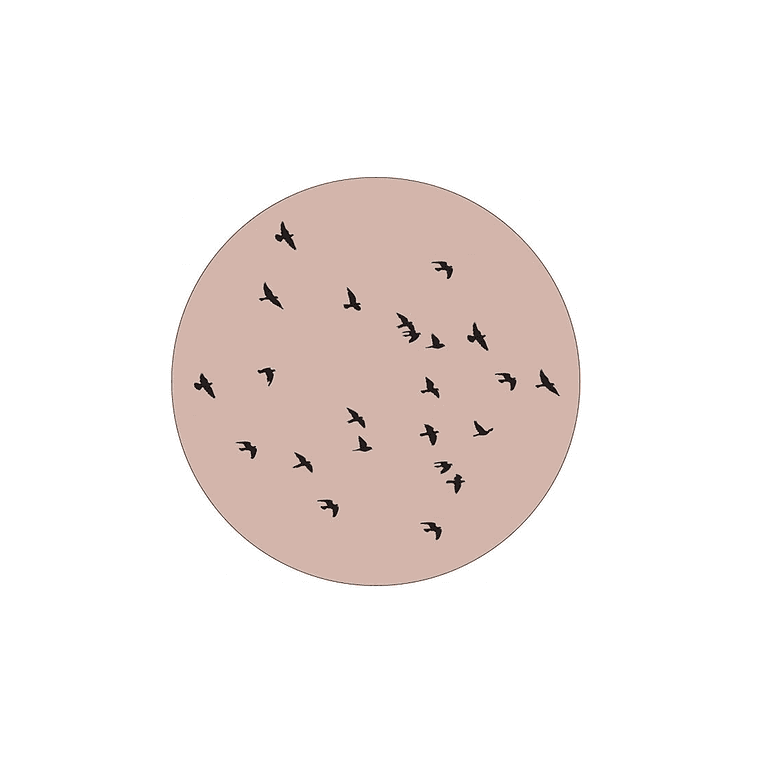 Label-R Muurcirkel birds
