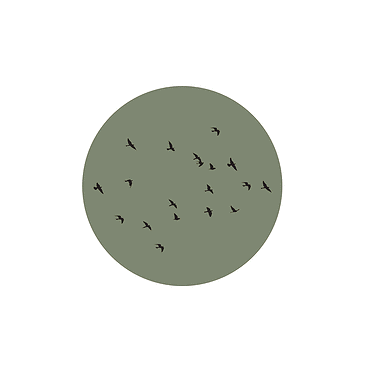 Label-R Muurcirkel birds - Olijfgroen 30cm