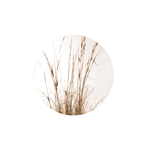 Label-R Muurcirkel grass