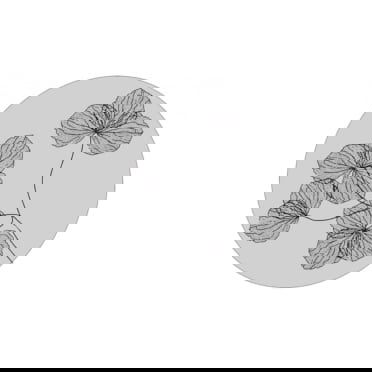 Label-R Muurcirkel - Gedroogde bloem 30cm