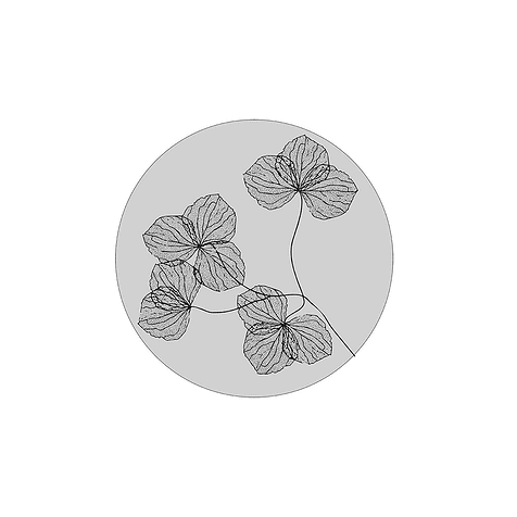 Label-R Muurcirkel - Gedroogde bloem 40cm