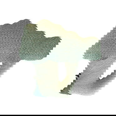 Lorena Canals Kussen Brucy the brocolli