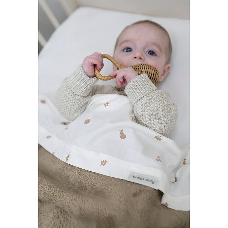 Baby's Only Ledikantlaken Fruit
