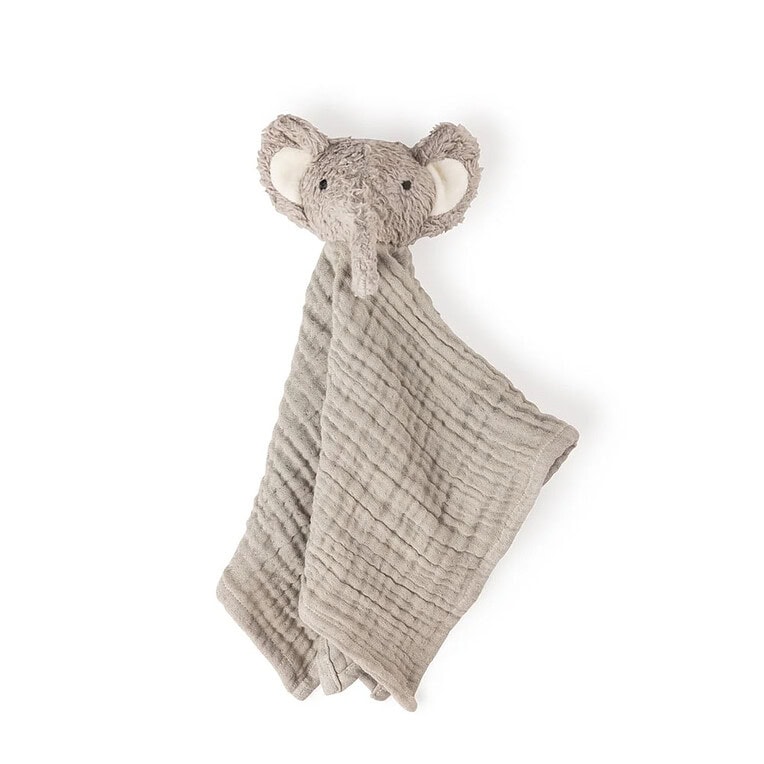 Sebra finley the elephant
