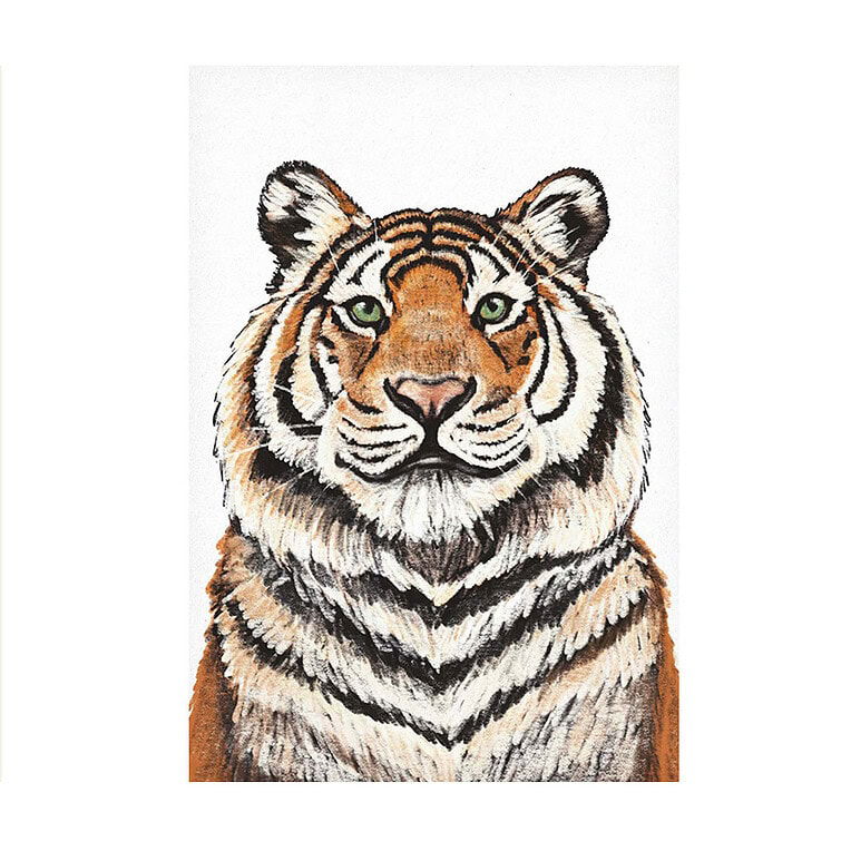 Kathings tiger A4