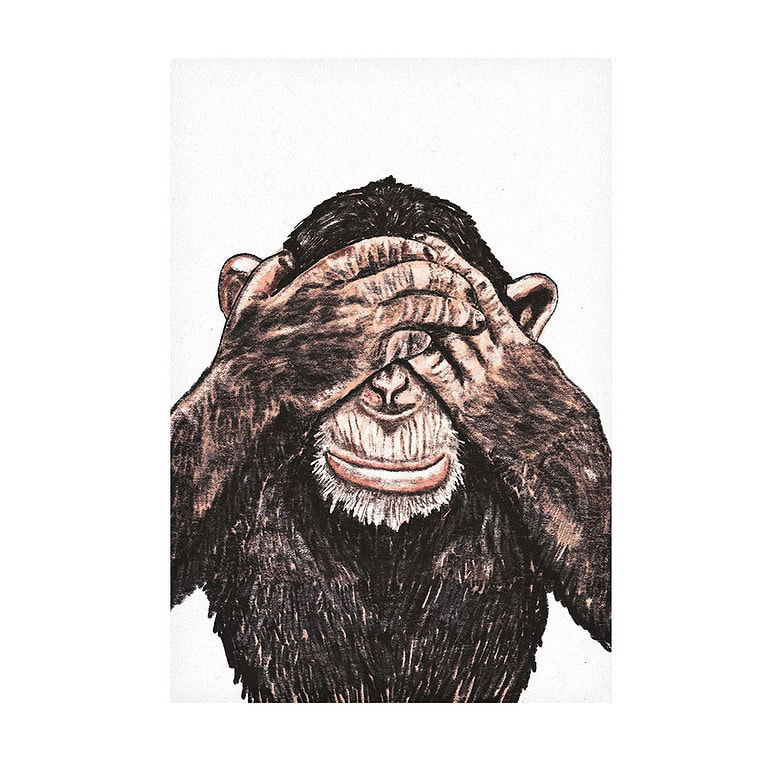 Kathings chimp eyes A4